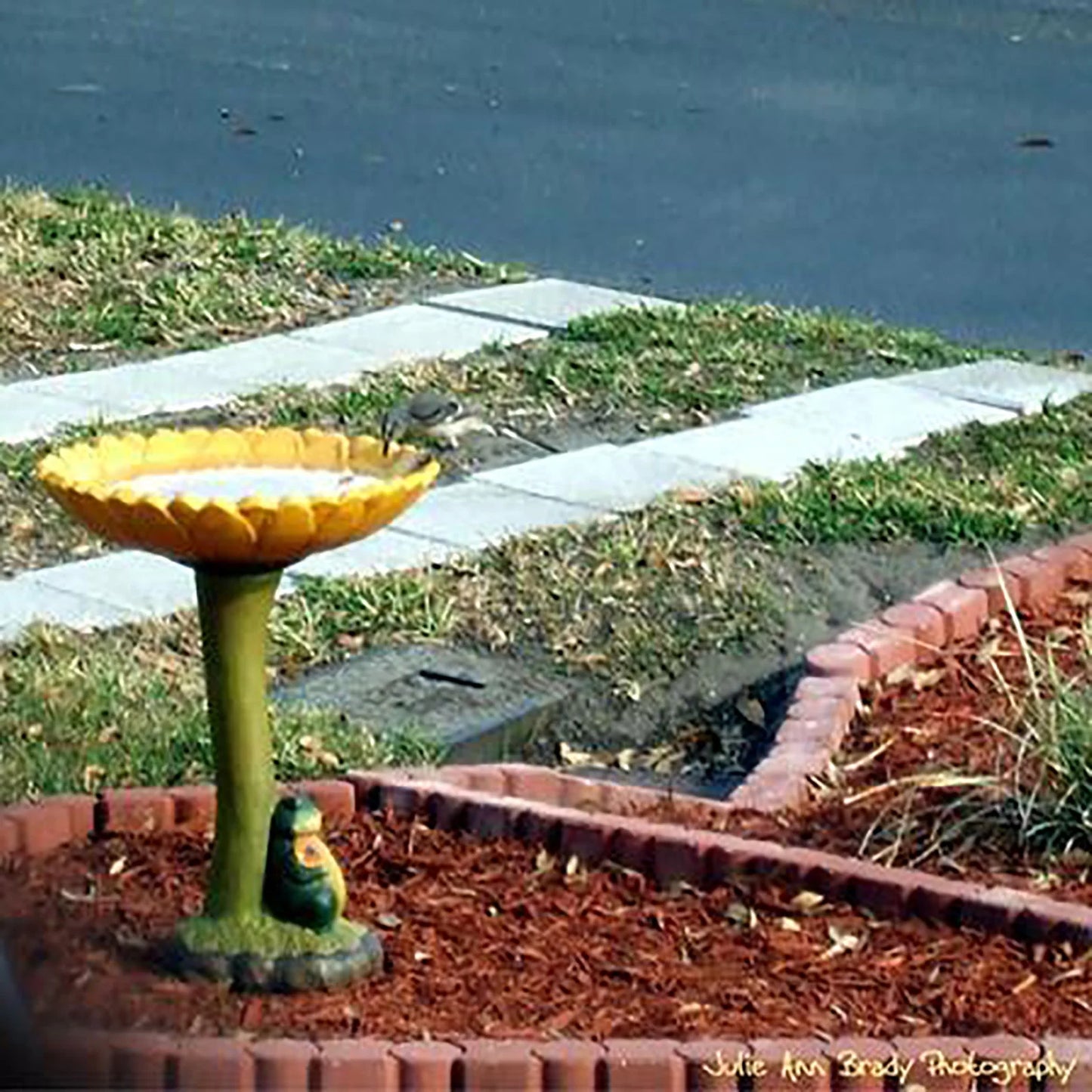 Handmade Standing Resin Bird Bath Bowl, Garden, Yard, and Patio Decor